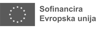 Sofinancira Evropska unija